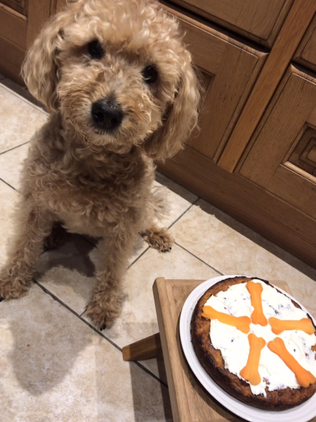 Supplements for joints