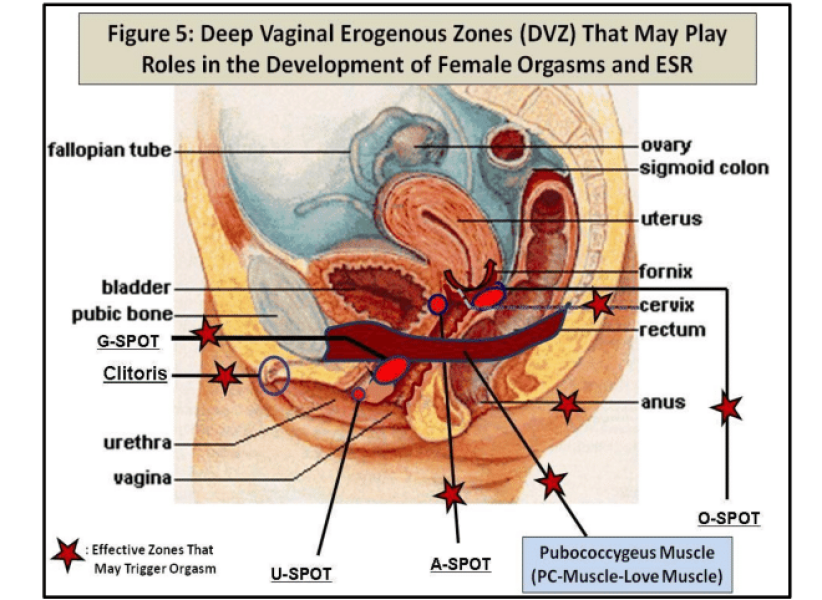 Is bigger really better?