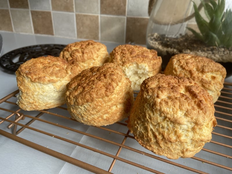 Friendship and Falling Leaves, Frugal Autumn Continued