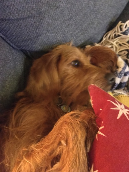 Come and tell me your dull and unexciting news 23: Calmly through the day 