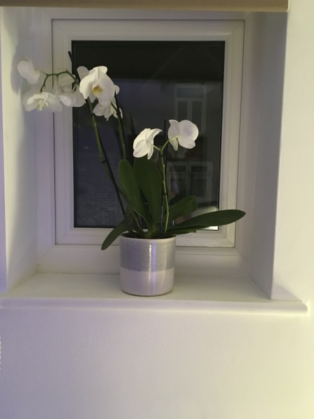 Asked to pay half towards a takeaway in friends home.