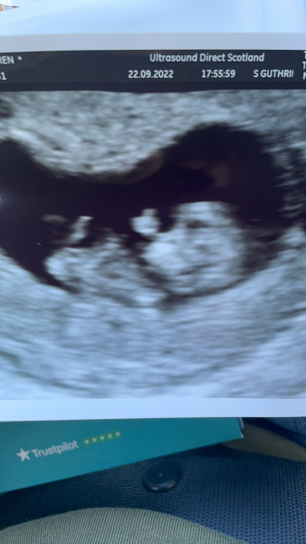 Babies Due April 2023 thread 5
