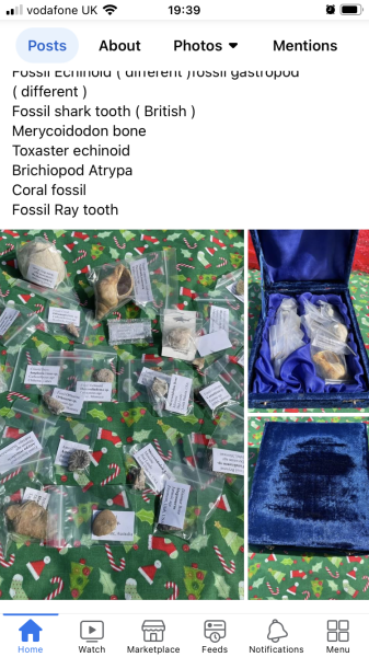 Thread 3 - the one with the speedily written title