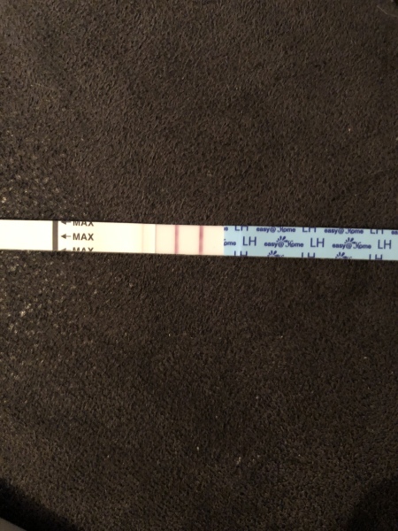 TTC after miscarriage Thread 11 🤞🏼✨
