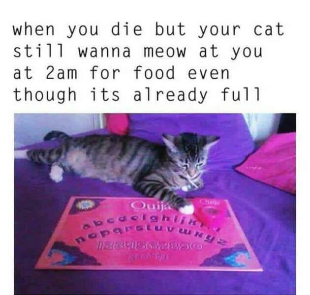 For wanting to do a Ouija board for a laugh?