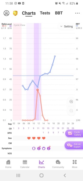 🤞 September BFP 🌈