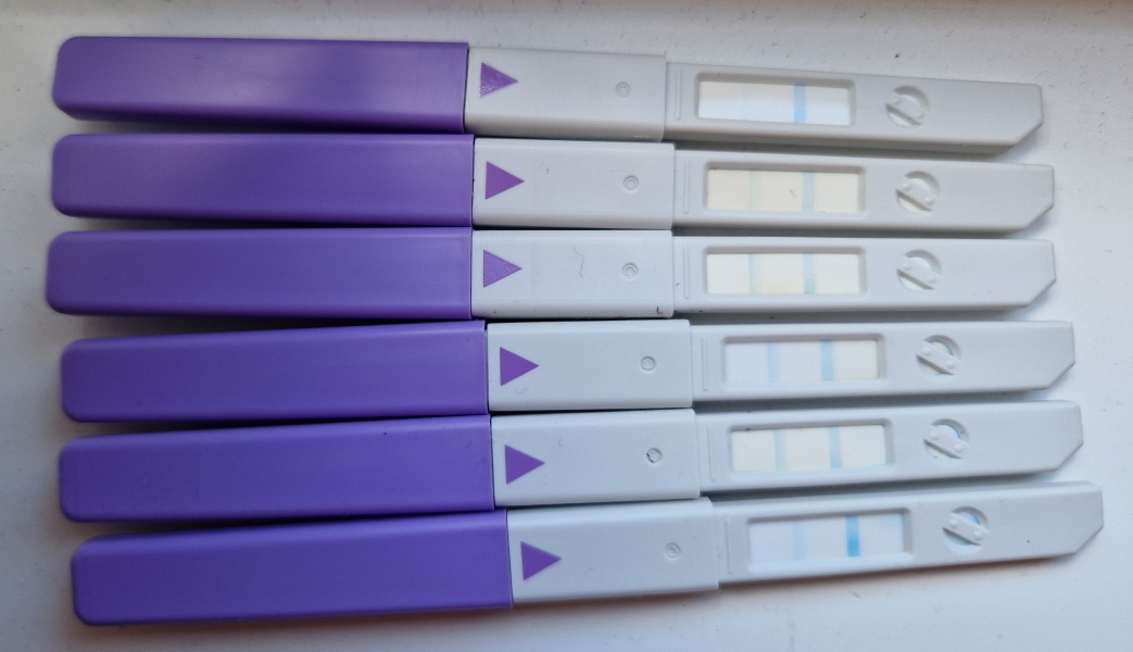 First timers, TTC. Safe space for brain dumps...