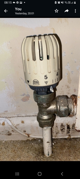 Replacement valves