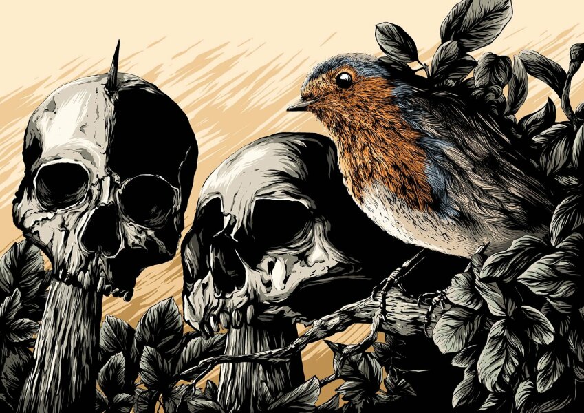 I know it's not reasonable to kill a robin but wtf do I do?