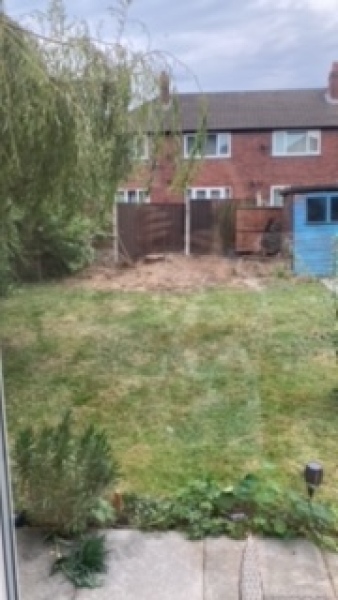 To lop or Stump Conifers