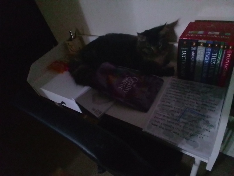 Come and tell me your dull and unexciting news 23: Calmly through the day 