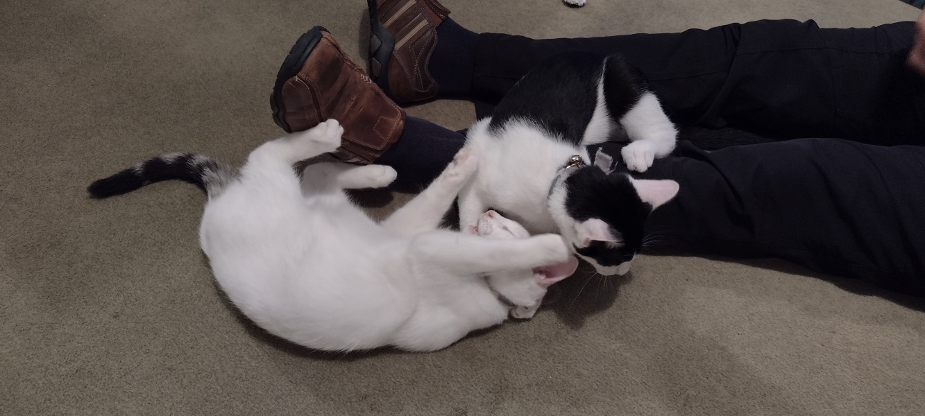 Ollie, Prince, Leroy, Walter and Co...