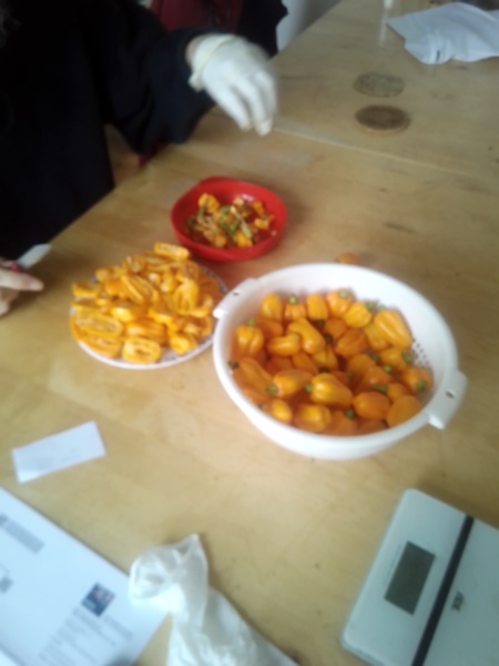 Come and tell me your dull and unexciting news 23: Calmly through the day 