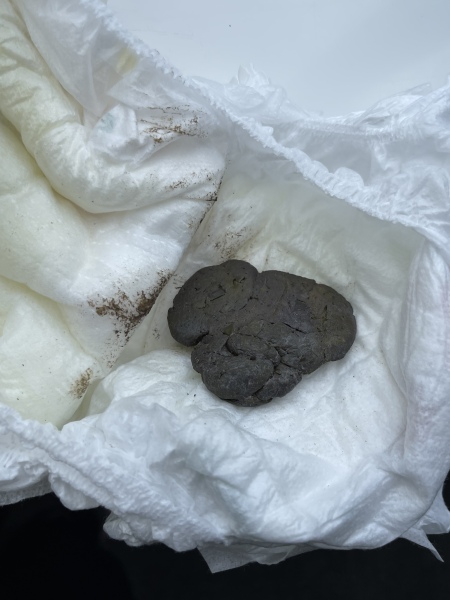 Dark poop? TMI warning 