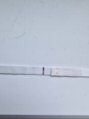 Line eyes please! 7/8 dpo!