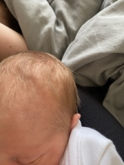 What colour hair does my baby have??