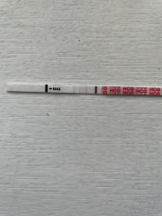 🤞 September BFP 🌈