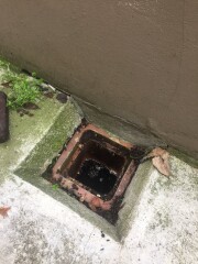 Are my drains blocked (with pictures)?