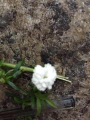 What is this please