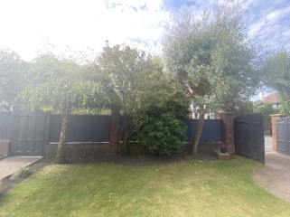 Can anyone advise about these trees / bushes? 