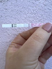 8dpo / pregnancy test