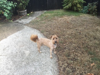I think we have adopted the worlds stinkiest dog!