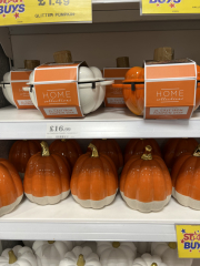 Thread 4 - the one with the pick up and take along gran