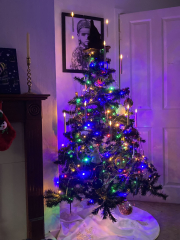 How will your tree be decorated this year?