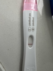 Caroline Lucas: “Local democracy felt revolutionised and re-energised” - why we need to permanently reinstate hybrid council meetings.