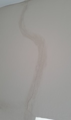 What is this? Pics attached 