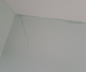 What is this? Pics attached 