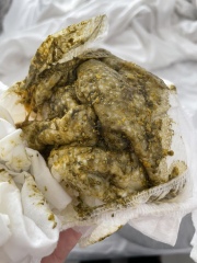 Poo 5 week old - sorry for the images 