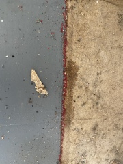 Can anyone help? Damp patch 