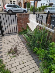 Best tree for planting near boundary on front driveway of a terrace.