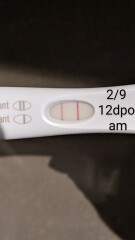 FRER darker after 3 min *pics help*