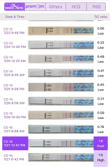 First timers, TTC. Safe space for brain dumps...