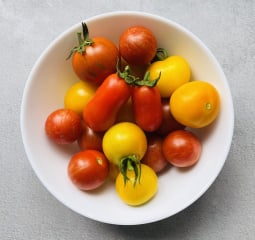 The Vegetable Patch Mark 2
