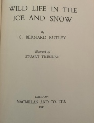 What was this childrens book? A wolf cub, a penguin and an otter