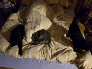 Ollie, Prince, Leroy, Walter and Co...
