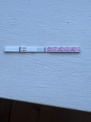 8dpo / pregnancy test
