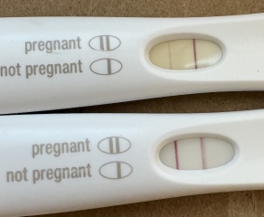 June 2023 Babies 🌞