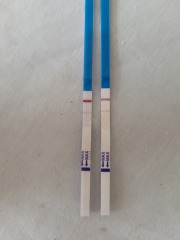 Not AIBU, Positive or Evap Line? 