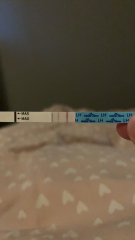TTC JUNE BABY part 2 ❤️🤞✨🍼👶🏼