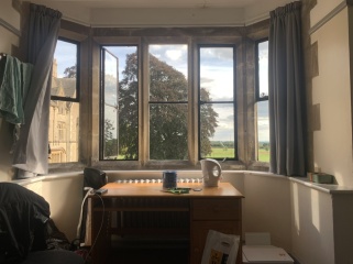 Thread 40 - Corona Cohort , Falling into Autumn 🍂 