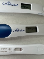 Caroline Lucas: “Local democracy felt revolutionised and re-energised” - why we need to permanently reinstate hybrid council meetings.