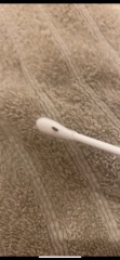 To think I've been bitten by a baby cockroach ?
