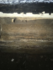 Damp wall/floor around bay window
