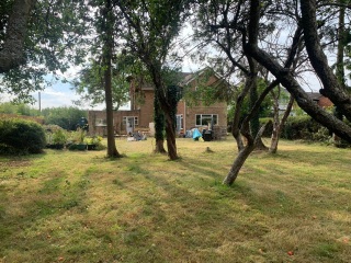 Anyone fancy designing my garden?!