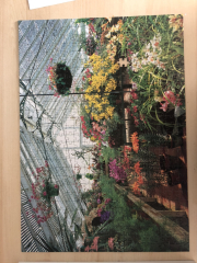 Anyone fancy a new jigsaw thread?