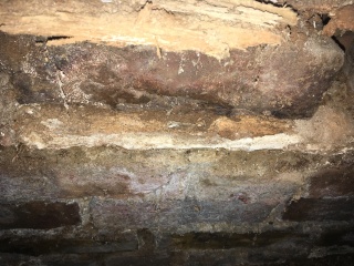 Damp wall/floor around bay window